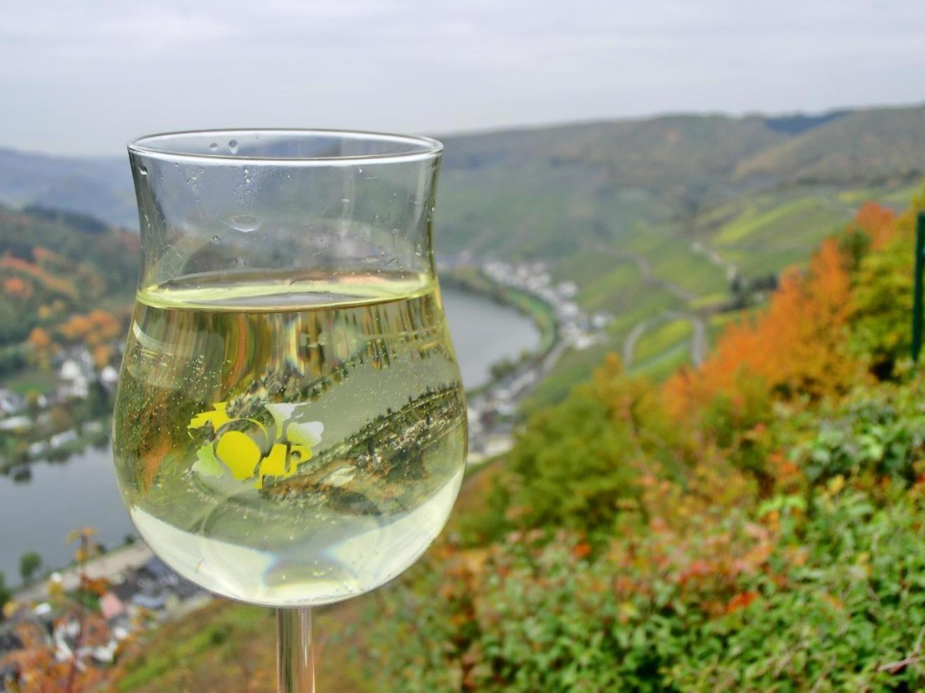 Mosel Ferienhaus Zell エクステリア 写真